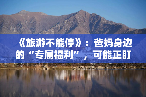 《旅游不能停》：爸妈身边的“专属福利”，可能正盯上他们的养老钱！