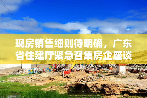现房销售细则待明确，广东省住建厅紧急召集房企座谈
