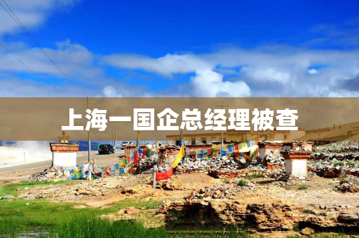 上海一国企总经理被查