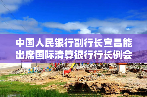 中国人民银行副行长宣昌能出席国际清算银行行长例会