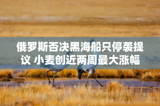 俄罗斯否决黑海船只停袭提议 小麦创近两周最大涨幅
