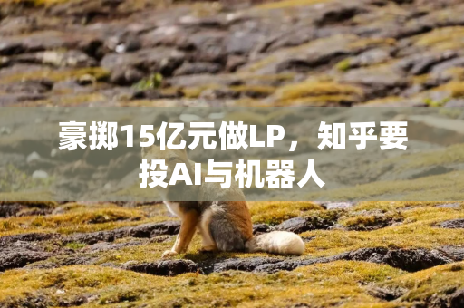 豪掷15亿元做LP，知乎要投AI与机器人