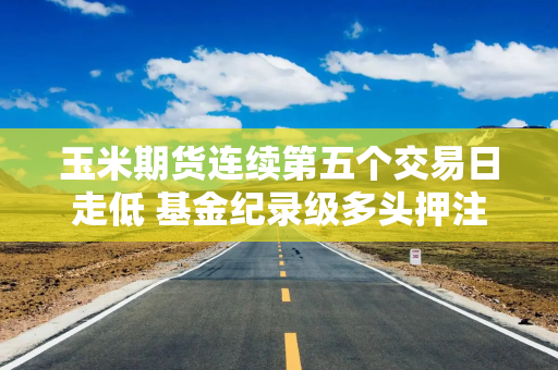 玉米期货连续第五个交易日走低 基金纪录级多头押注遭遇考验