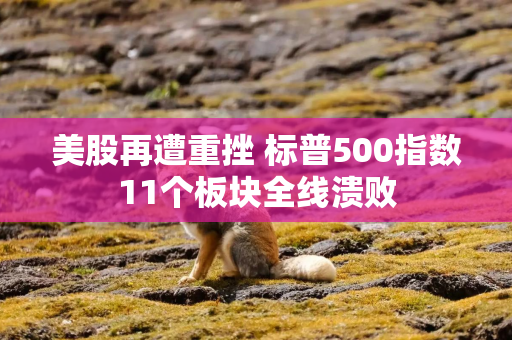 美股再遭重挫 标普500指数11个板块全线溃败