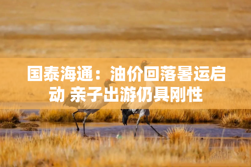 国泰海通：油价回落暑运启动 亲子出游仍具刚性