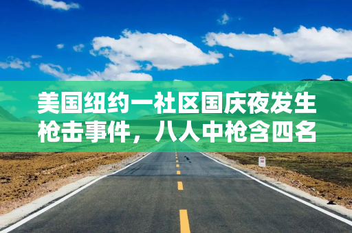 美国纽约一社区国庆夜发生枪击事件，八人中枪含四名儿童