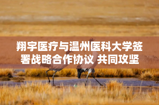 翔宇医疗与温州医科大学签署战略合作协议 共同攻坚非侵入式脑机交互康复技术