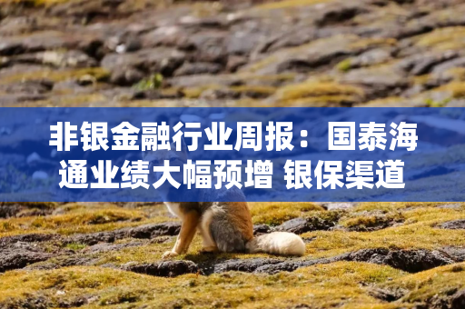 非银金融行业周报：国泰海通业绩大幅预增 银保渠道“报行合一”将进一步细化