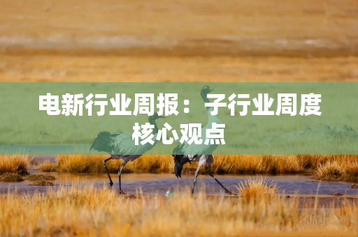电新行业周报：子行业周度核心观点