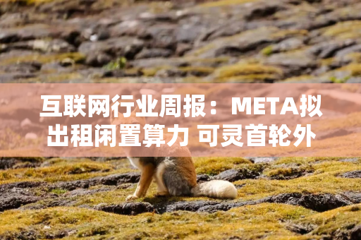 互联网行业周报：META拟出租闲置算力 可灵首轮外部融资落地