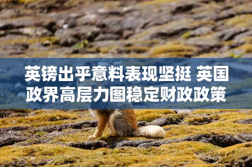 英镑出乎意料表现坚挺 英国政界高层力图稳定财政政策是重要原因
