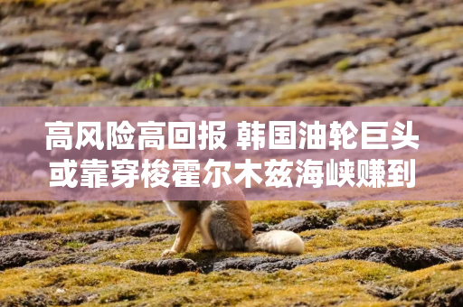 高风险高回报 韩国油轮巨头或靠穿梭霍尔木兹海峡赚到上亿美元 高风险高回报 韩国油轮巨头或靠穿梭霍尔木兹海峡赚到上亿美元