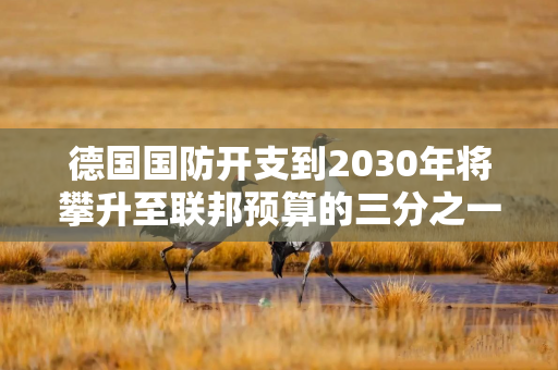 德国国防开支到2030年将攀升至联邦预算的三分之一