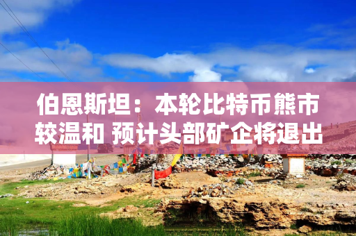 伯恩斯坦：本轮比特币熊市较温和 预计头部矿企将退出挖矿业务