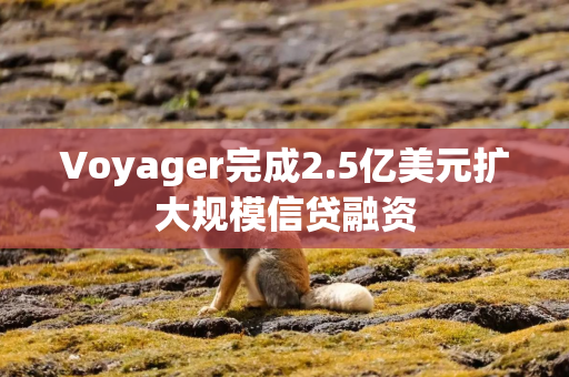 Voyager完成2.5亿美元扩大规模信贷融资