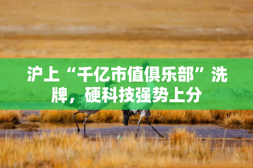 沪上“千亿市值俱乐部”洗牌，硬科技强势上分