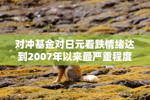对冲基金对日元看跌情绪达到2007年以来最严重程度