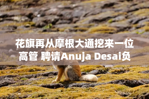 花旗再从摩根大通挖来一位高管 聘请Anuja Desai负责评级顾问业务