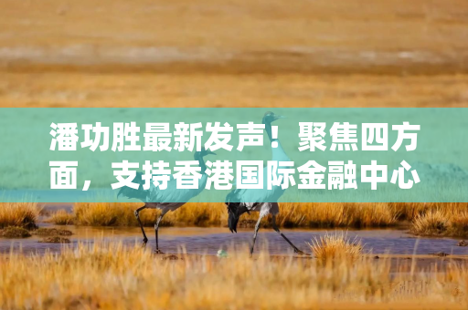 潘功胜最新发声!聚焦四方面,支持香港国际金融中心发展 潘功胜最新发声!聚焦四方面,支持香港国际金融中心发展