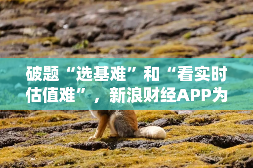 破题“选基难”和“看实时估值难”，新浪财经APP为投资者提供系统化解决方案