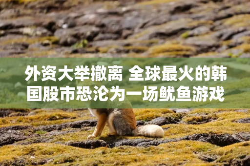 外资大举撤离 全球最火的韩国股市恐沦为一场鱿鱼游戏