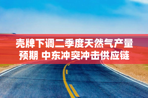 壳牌下调二季度天然气产量预期 中东冲突冲击供应链