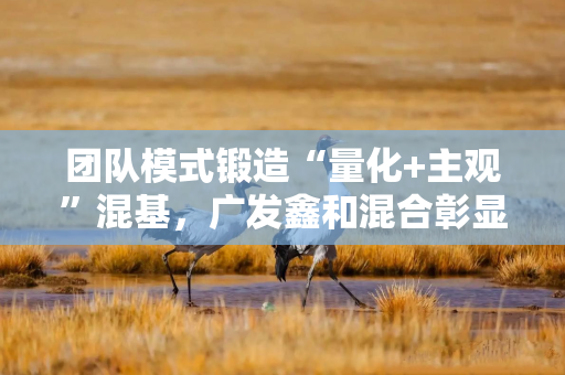 团队模式锻造“量化+主观”混基,广发鑫和混合彰显稳健配置价值 团队模式锻造“量化+主观”混基,广发鑫和混合彰显稳健配置价值