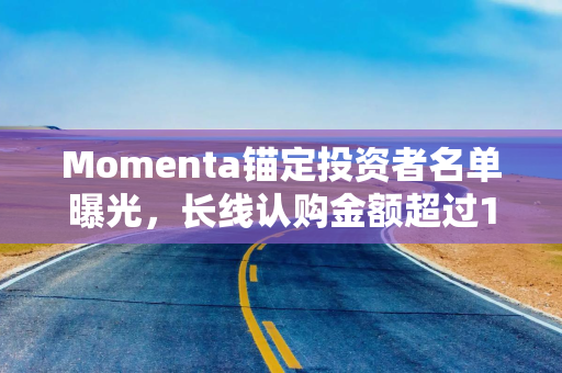 Momenta锚定投资者名单曝光，长线认购金额超过15倍