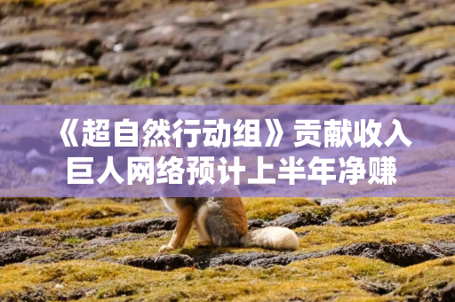 《超自然行动组》贡献收入 巨人网络预计上半年净赚超20亿元
