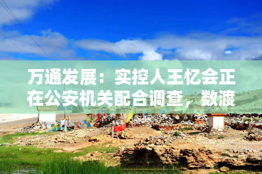 万通发展:实控人王忆会正在公安机关配合调查,数渡科技存在持续亏损风险 万通发展:实控人王忆会正在公安机关配合调查,数渡科技存在持续亏损风险