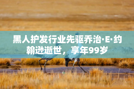 黑人护发行业先驱乔治·E·约翰逊逝世，享年99岁
