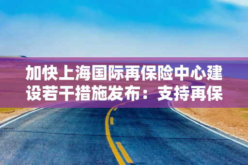 加快上海国际再保险中心建设若干措施发布：支持再保险机构增资扩股和发行资本补充工具