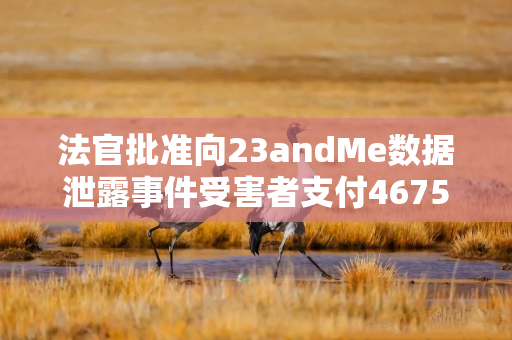 法官批准向23andMe数据泄露事件受害者支付4675万美元赔偿金