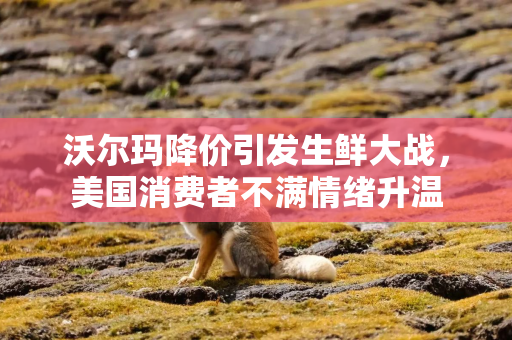 沃尔玛降价引发生鲜大战,美国消费者不满情绪升温 沃尔玛降价引发生鲜大战,美国消费者不满情绪升温