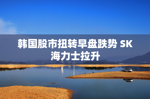 韩国股市扭转早盘跌势 SK海力士拉升