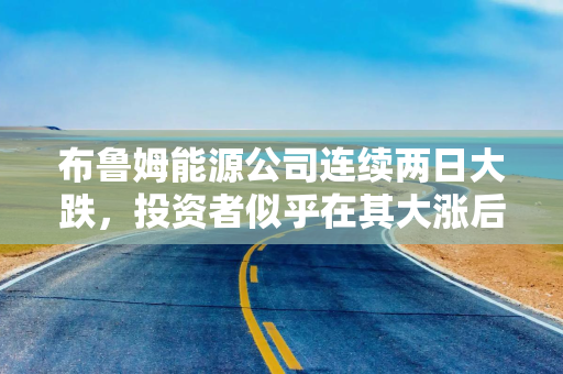 布鲁姆能源公司连续两日大跌，投资者似乎在其大涨后获利了结