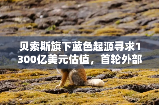 贝索斯旗下蓝色起源寻求1300亿美元估值,首轮外部融资引关注 贝索斯旗下蓝色起源寻求1300亿美元估值,首轮外部融资引关注
