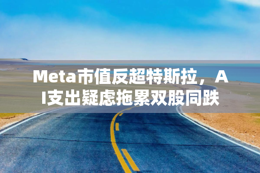 Meta市值反超特斯拉，AI支出疑虑拖累双股同跌