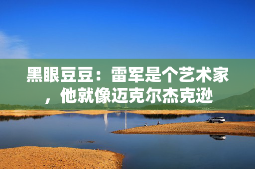 黑眼豆豆：雷军是个艺术家，他就像迈克尔杰克逊