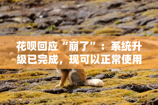花呗回应“崩了”：系统升级已完成，现可以正常使用，未还款产生利息可联系处理