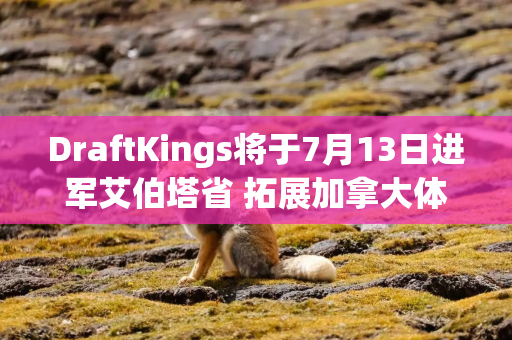 DraftKings将于7月13日进军艾伯塔省 拓展加拿大体育博彩版图