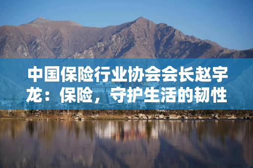 中国保险行业协会会长赵宇龙：保险，守护生活的韧性与安宁