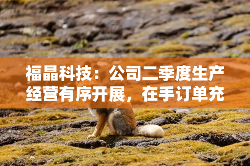 福晶科技：公司二季度生产经营有序开展，在手订单充足