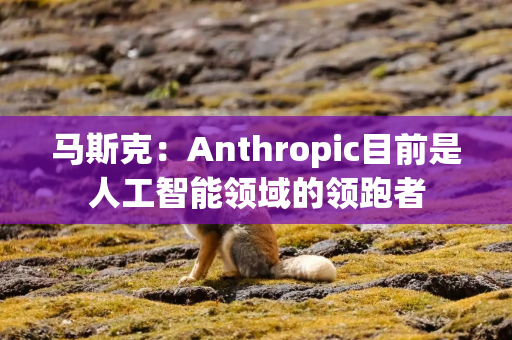 马斯克：Anthropic目前是人工智能领域的领跑者