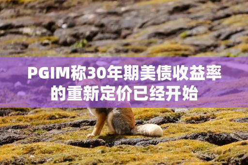 PGIM称30年期美债收益率的重新定价已经开始