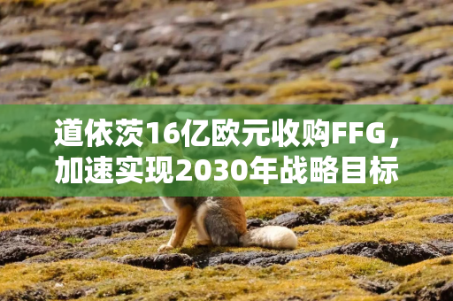 道依茨16亿欧元收购FFG，加速实现2030年战略目标