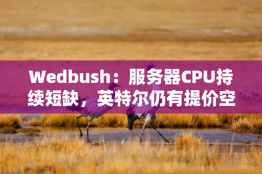 Wedbush:服务器CPU持续短缺,英特尔仍有提价空间 Wedbush:服务器CPU持续短缺,英特尔仍有提价空间