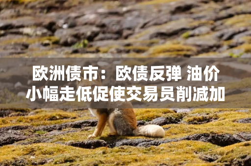 欧洲债市：欧债反弹 油价小幅走低促使交易员削减加息押注