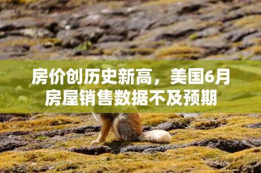 房价创历史新高，美国6月房屋销售数据不及预期