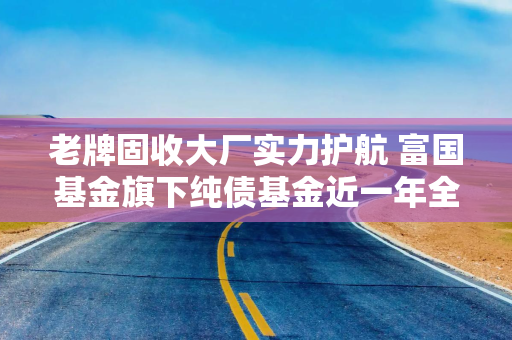 老牌固收大厂实力护航 富国基金旗下纯债基金近一年全线飘红